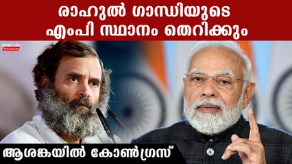 രാഹുലിന്റെ MP സ്ഥാനം നഷ്ടമായേക്കും! ആശങ്കയില്‍ കോണ്‍ഗ്രസ്