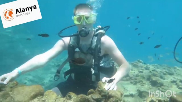 Alanya Scuba Diving Tour - Alanya Best Trips