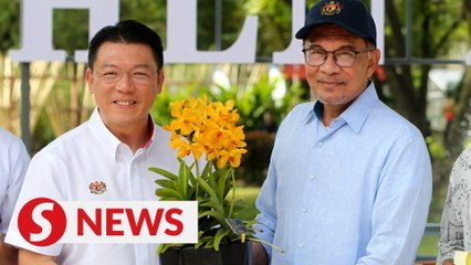 New orchid hybrid named after PM Anwar