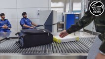 Travelling to or from UAE: What is permitted or banned in my luggage?