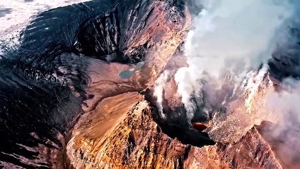 5  دورة الحياة الجزء الاول