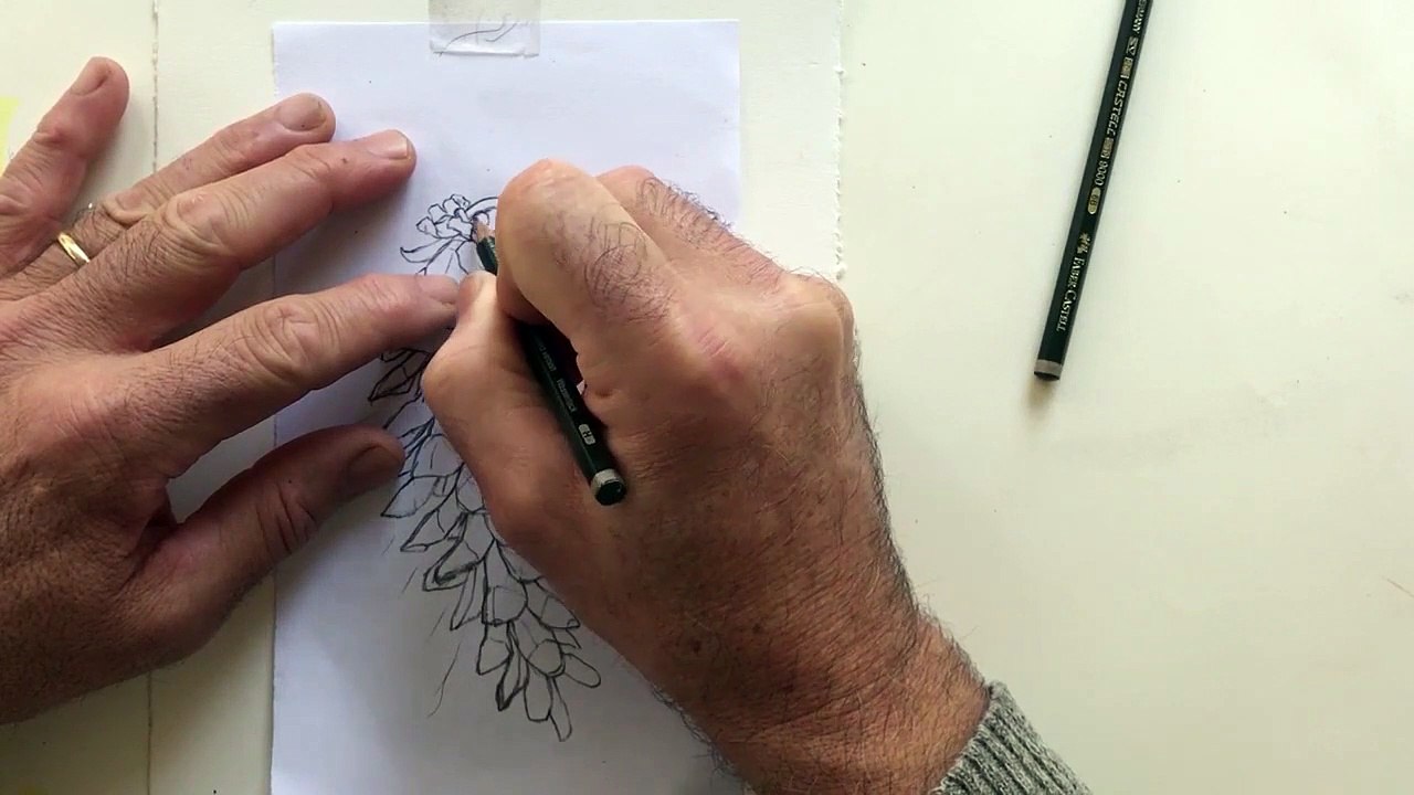 Watercolor Lesson 4A