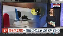 [헤이!월드] 아카데미 시상식 이틀 앞으로…오스카는 누구 품에? 外