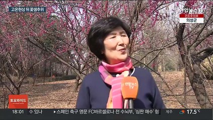 116년 만에 3월 중순 더위…비 온 뒤 매서운 꽃샘추위