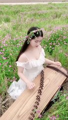 Traditional instrument