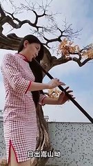 Traditional instrument example