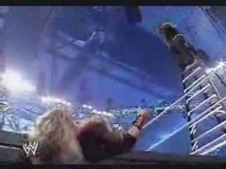 Jeff Hardy   Leg drop from a big Ladder sur edge