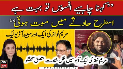 Maryam Nawaz suggested to portray PTI worker’s murder as accident in her alleged Audio leak