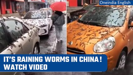 Beijing Flooded By ‘Rain Of Worms’; Residents Asked To Carry Umbrellas | Viral Video | Oneindia News