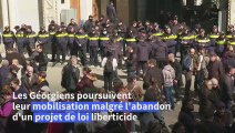 Des manifestants géorgiens veulent que leur pays mette le cap vers l'Europe