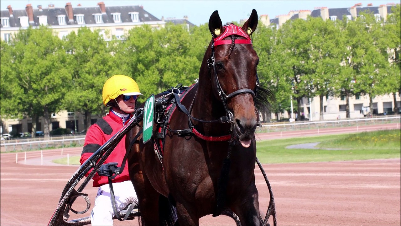 Pronostic PMU de Fréquence Turf pour le Quinté du dimanche 12 mars 2023 (Réunion n°1 - Course n°4)