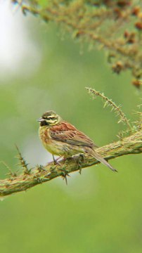 Pas besoin d'ÉTUDES pour aider la SCIENCE !