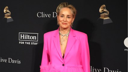 GALA VIDEO – Sharon Stone méconnaissable : ce cliché étonnant pour ses 65 ans