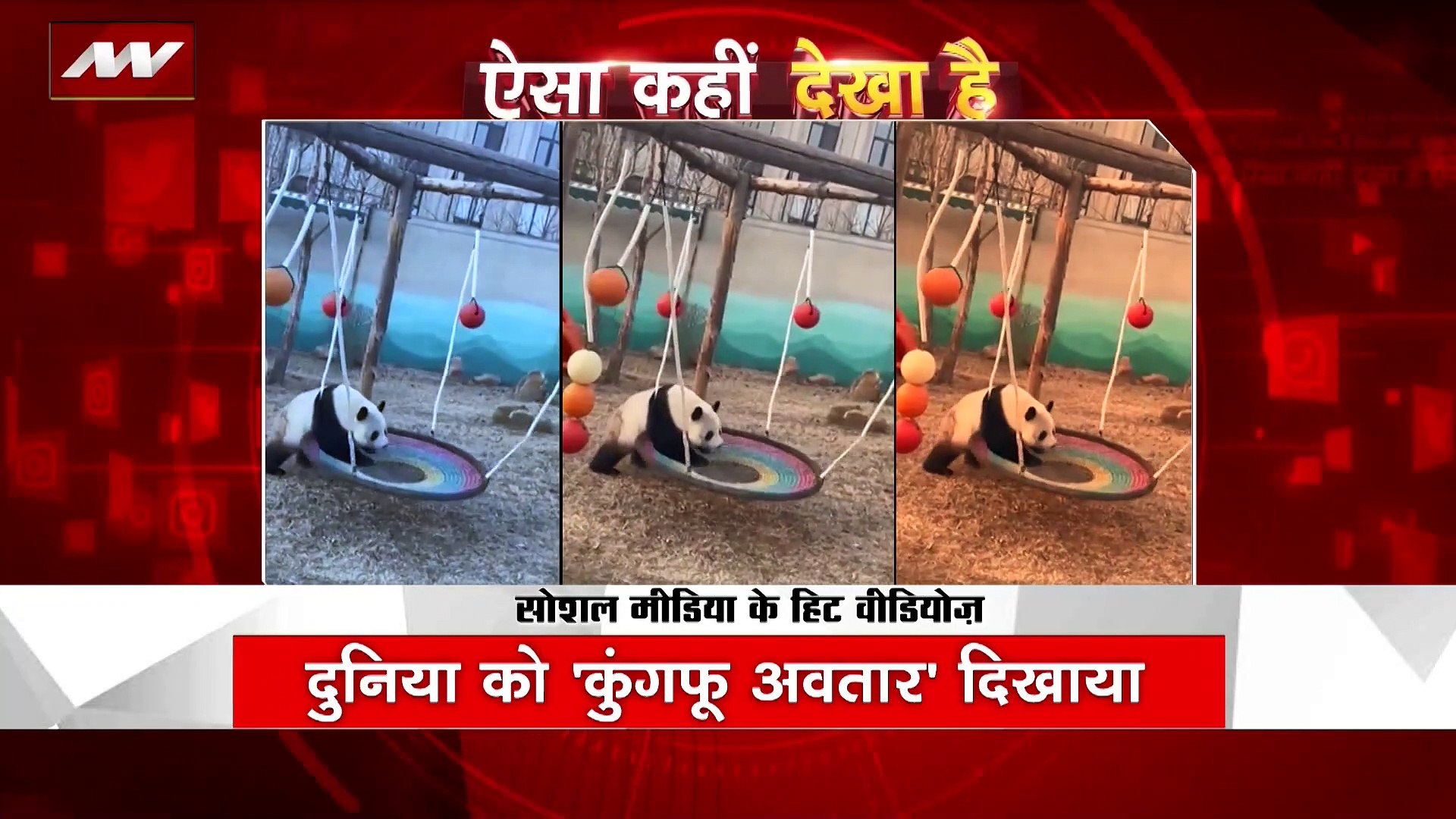 ⁣VIRAL VIDEOS : सोशल मीडिया पर VIRAL VIDEOS
