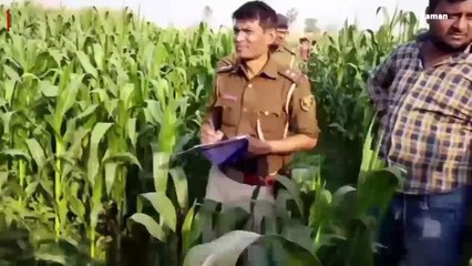 पूर्णिया: मक्के के खेत में शव मिलने से इलाके में फैली सनसनी, पुलिस कर रही जांच