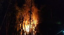 वन विभाग के पास लगे बांस के जंगल में लगी आग