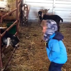 y2mate.com -  _ By Internet TV[816781751826305-]