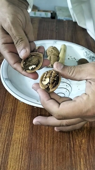 how to crack walnuts an easy idea no3.