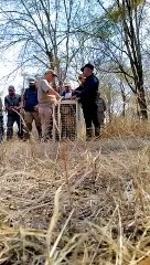 6 माह बाद दौड़े नामीबियाई चीते आशा व ओबान