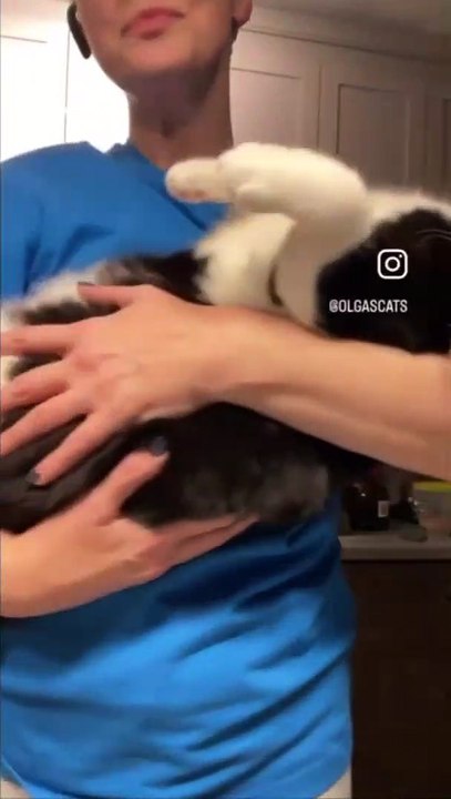 Cat curls up & naps after gentle rocking