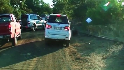 OMG! Lion Hunting Porcupine - Lion Painful When Porcupine Feather Pens Stabbed Deep into Lion's Flesh