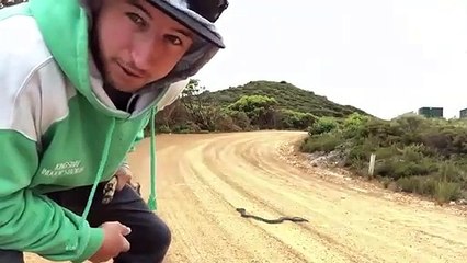 Voila comment attraper un grand serpent