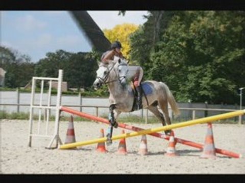 Oasis du 18 aout 2007 jusqu'au 16 décembre 2007