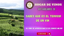 Sabes que es Terroir de un vino