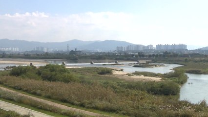 "미호강을 친수·여가 공간으로"...청사진 완성 단계 / YTN