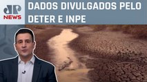 Alertas de desmatamento na Amazônia e no Cerrado batem recorde em fevereiro; Pavinatto opina