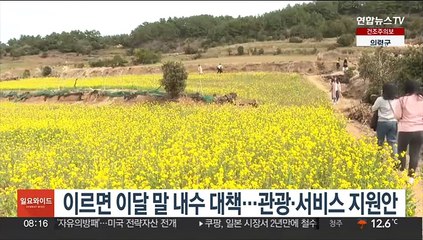 이르면 이달 말 내수 대책…관광·서비스 지원안
