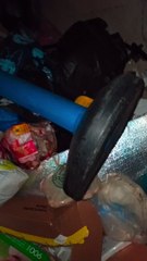 no podras creer lo que tiran en la basura en tijuana frontera con usa cosas sorprendentes