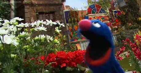 Sesame Street  Sesame Street S46 E017  Camping Show