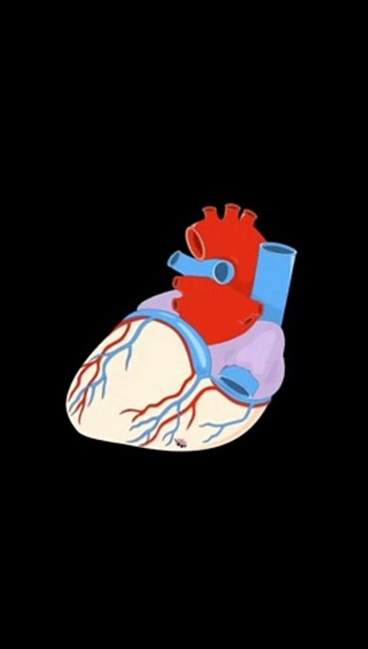 CARDIOLOGY