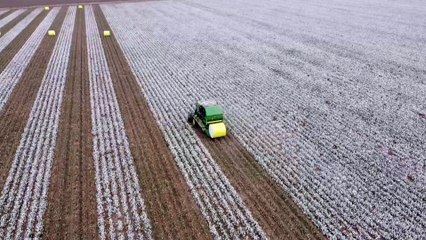 Cotton harvest in the Central Highlands | 12/03/23 | Queensland Country Life