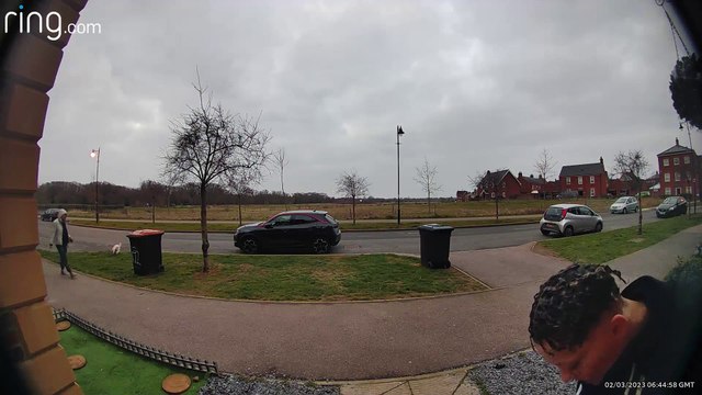 Dog Drags Owner Across Walkway