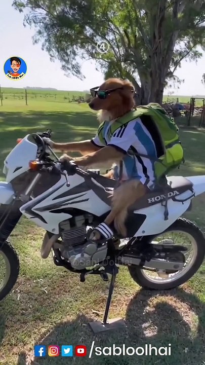 Description  NEW OP UPDdTE NEW INTRANCE TICKET AND EXCITING REWARDS LIKE EMOTES  aryan the Mastermind 3 Likes 19 Views 2021 Aug 19 #fullvideo #FreeFireNoob​ #GarenaFreeFire​ funnyvideo#fullvideo  -----------------------------------------------------------