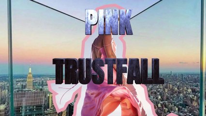 PINK - TRUSTFALL - CRAIG WELSH EXTENDED - DJ BRAD VIDEO EDIT