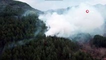 Yol kenarına atılan sigara izmariti ormanlık alanda yangın çıkardı