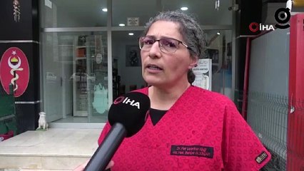 Uzmanından şap varyantı uyarısı: Çok hızlı bir şekilde bulaşıyor