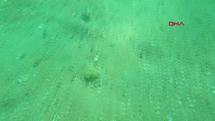 TÜDAV BAŞKANI PROF. DR. BAYRAM ÖZTÜRK'TEN 'AÇIK DENİZ ANLAŞMASI' ÇAĞRISI