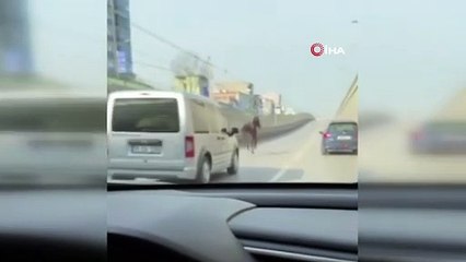 Görüntüler Bursa'dan... Trafiği tehlikeye attılar