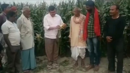 समस्तीपुर: मक्के की खेत का विधायक ने किया निरीक्षण, किसान समस्या पर कही यह बात