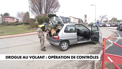 Drogue au volant : opération de contrôles