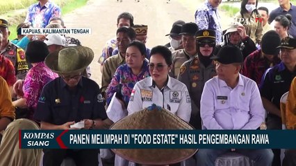 Investasi Masa Depan, Food Estate Perkirakan Panen 5,24 Ton Padi per Hektar!