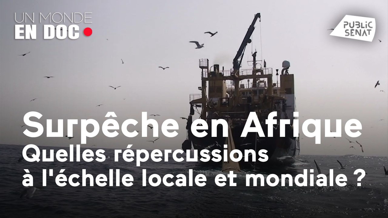 Un monde en doc : Surpêche dans les eaux africaines : quelles répercussions locales et mondiales ?