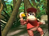 Donkey Kong Country Donkey Kong Country E018 – Bug a Boogie