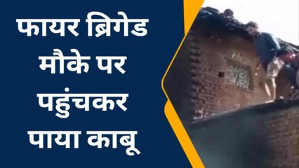 बैतूल: भोगीतेडा गांव में मकान में लगी भीषण आग, मौके पर पहुंची फायर ब्रिगेड