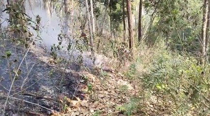 'ไฟป่า' แม่ฮ่องสอน แชมป์ภาคเหนือ ทะลุ 127 จุด กระทบสุขภาพอย่างหนัก
