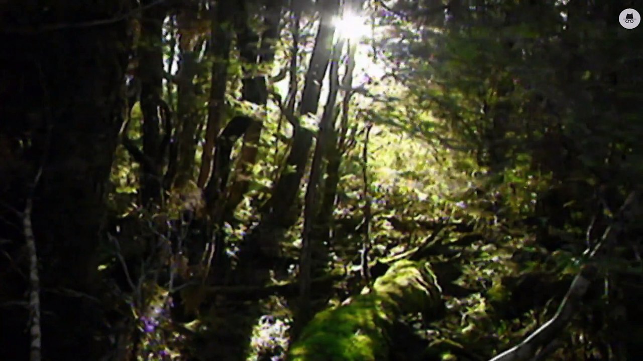 La Grande Accélération-Gérer et Revaloriser Nos Ressources EP4